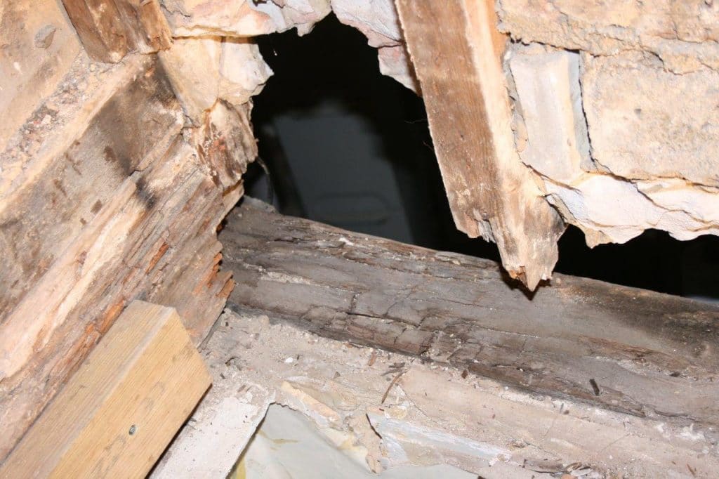 Harden Rotted Wood, How To Toughen Old Decayed Wood